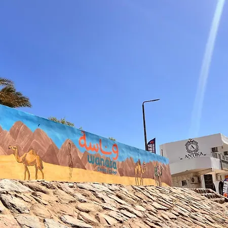 Wanasa Camel