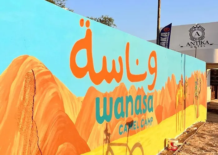 Wanasa Camel Dahab