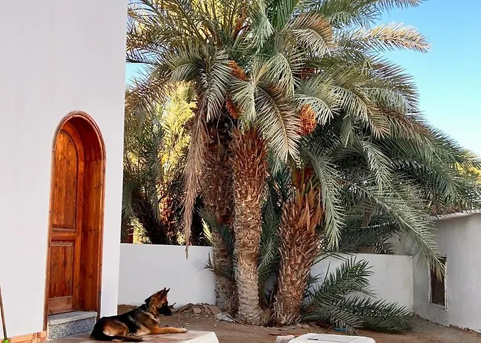 Wanasa Camel Gasthuis Dahab