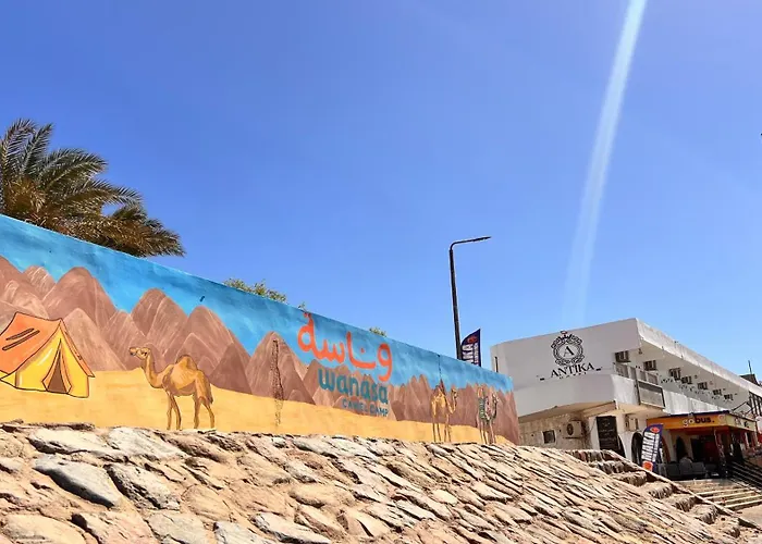 Wanasa Camel * Dahab